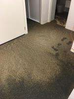 Carpet Sewage Cleaning Service Sydney image 3